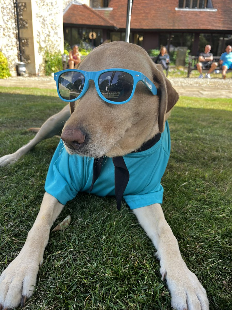 BluepawWB's tweet image. We did it over £5000 raised, Together, we have achieved something truly remarkable.justgiving.com/campaign/flint…
#HelpAndHeal #RunRowRide2023 #CharityEvent #LymphedemaScanner #ThankYouAll #MakingADifference
flinthouse.co.uk/over-5000-rais… @FlintHouseRehab @PCBenOnTheMend @jason_carl_fox