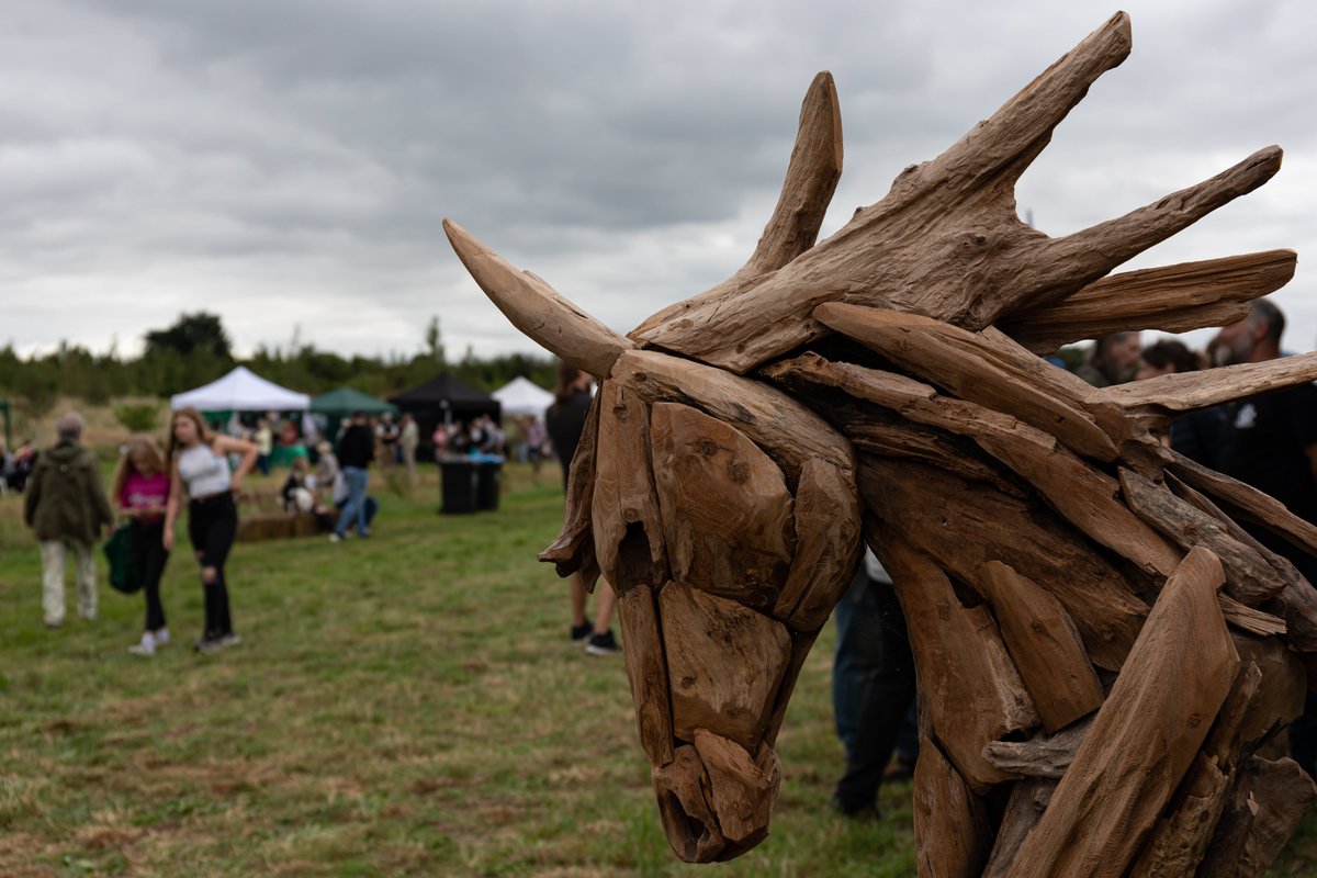 Wild horses won't keep me away from Foxburrow Wood on Sunday for the #WychwoodForestFair! ⁣Can't decide whether I'm more excited about the axe-throwing, the ferret racing or the wood carving. ⁣Gates open 11am. bit.ly/434iSS7 #natureconservation #ruralskills #festival