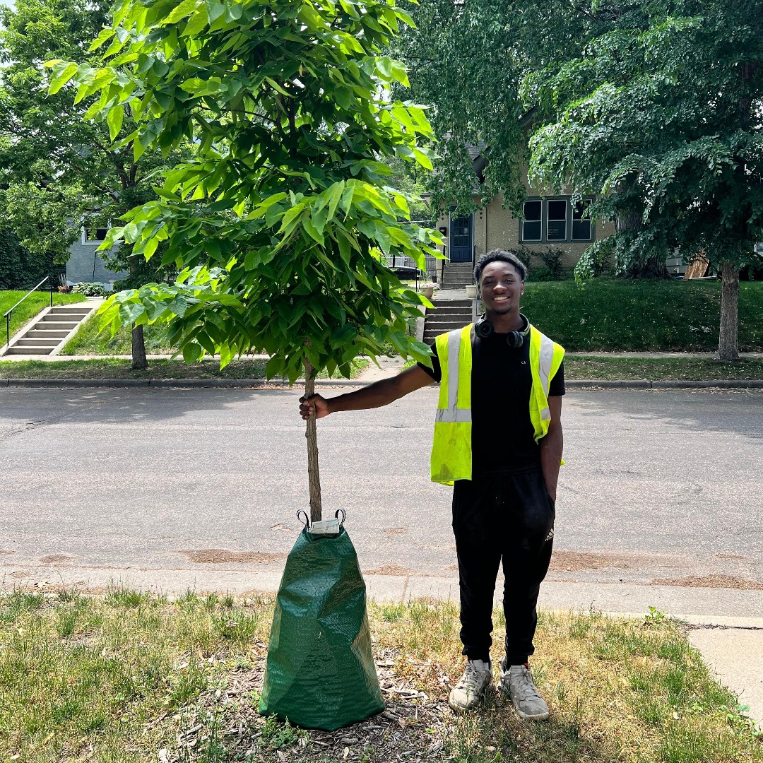 TreeTrust's tweet image. How is Tree Trust 🌳 growing shade across the Twin Cities metro area? 

Read our new blog post to find out. 

👉treetrust.org/summer-tree-ca…

#summertreecare #growingshade #tree