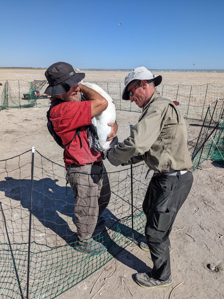 Joanne Ocock tweet media