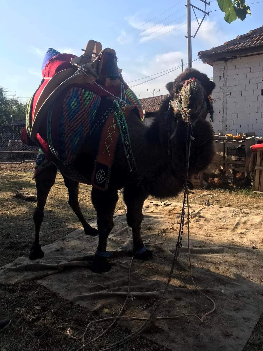 Burası boş bı yer sadece reklam cesaret güven saygı yok sadece kelimelerle ilerliyorlar icraat yok