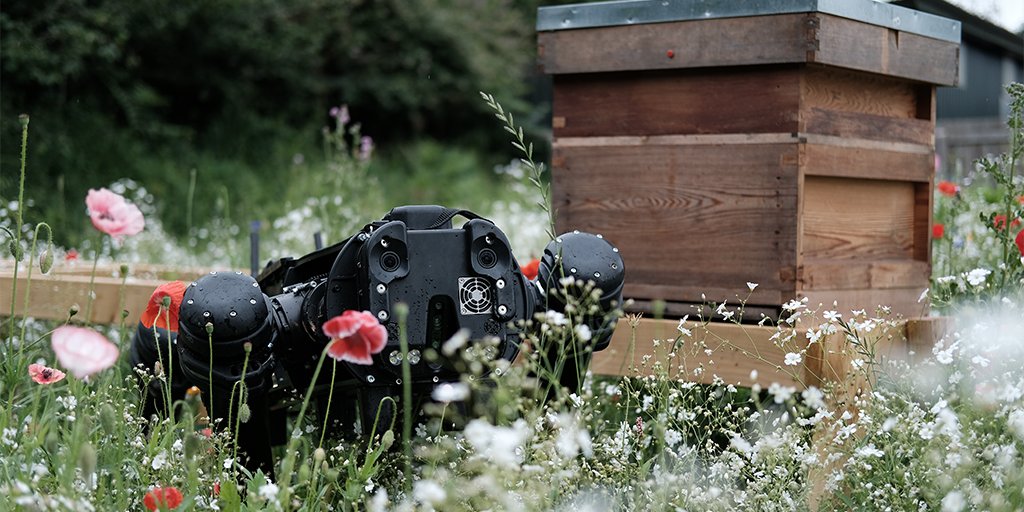 Celestial Drones tweet media