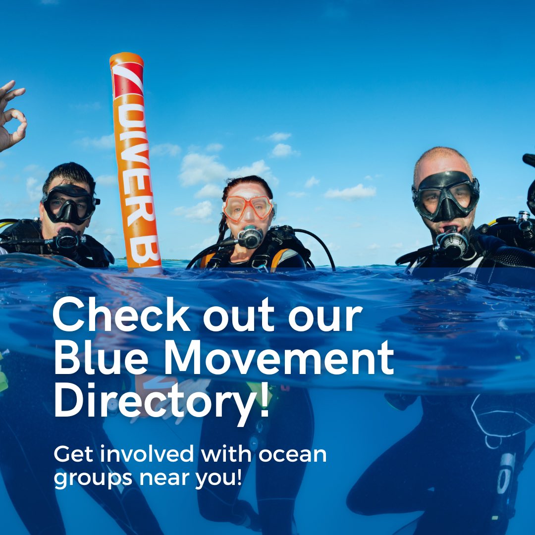 Blue Frontier Campaign tweet media