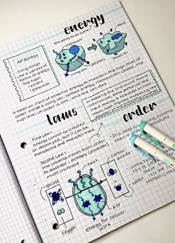chanipea's tweet photo. TIPS‼️for upcoming Grade 11 & 12 students 🧑🔬
#studytwtph #studytwt #STEMeducation #grade12stem #stemstudent https://t.co/SnjLhtrNhh