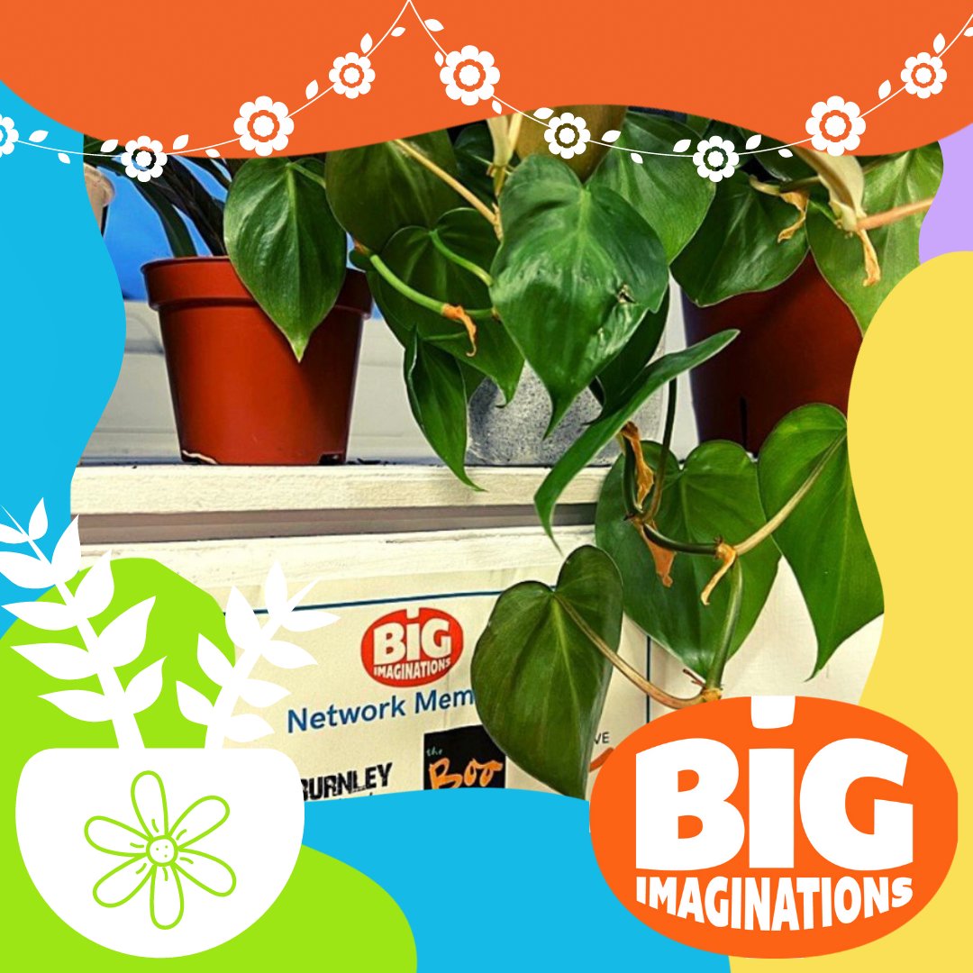The days might be getting shorter and the leave turning colours but we love having some greenery in our #BigImaginations and @z_arts_mcr office while we're planning our network events🪴

#officeplant #officeplants #plantpot
