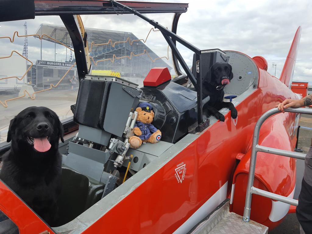 RAFBF's tweet photo. #rafbf1 #BritishGP
Loved meeting Ted and Lego. https://t.co/jlU51G8yfj