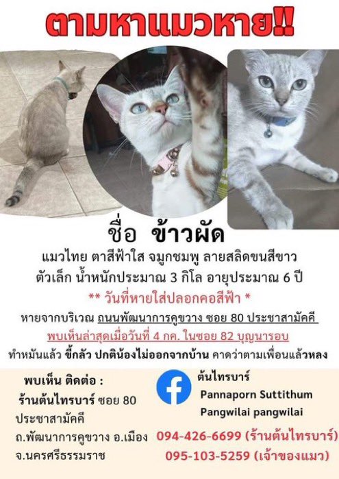 KeamPim's tweet photo. https://t.co/9IL7Dy4ol3