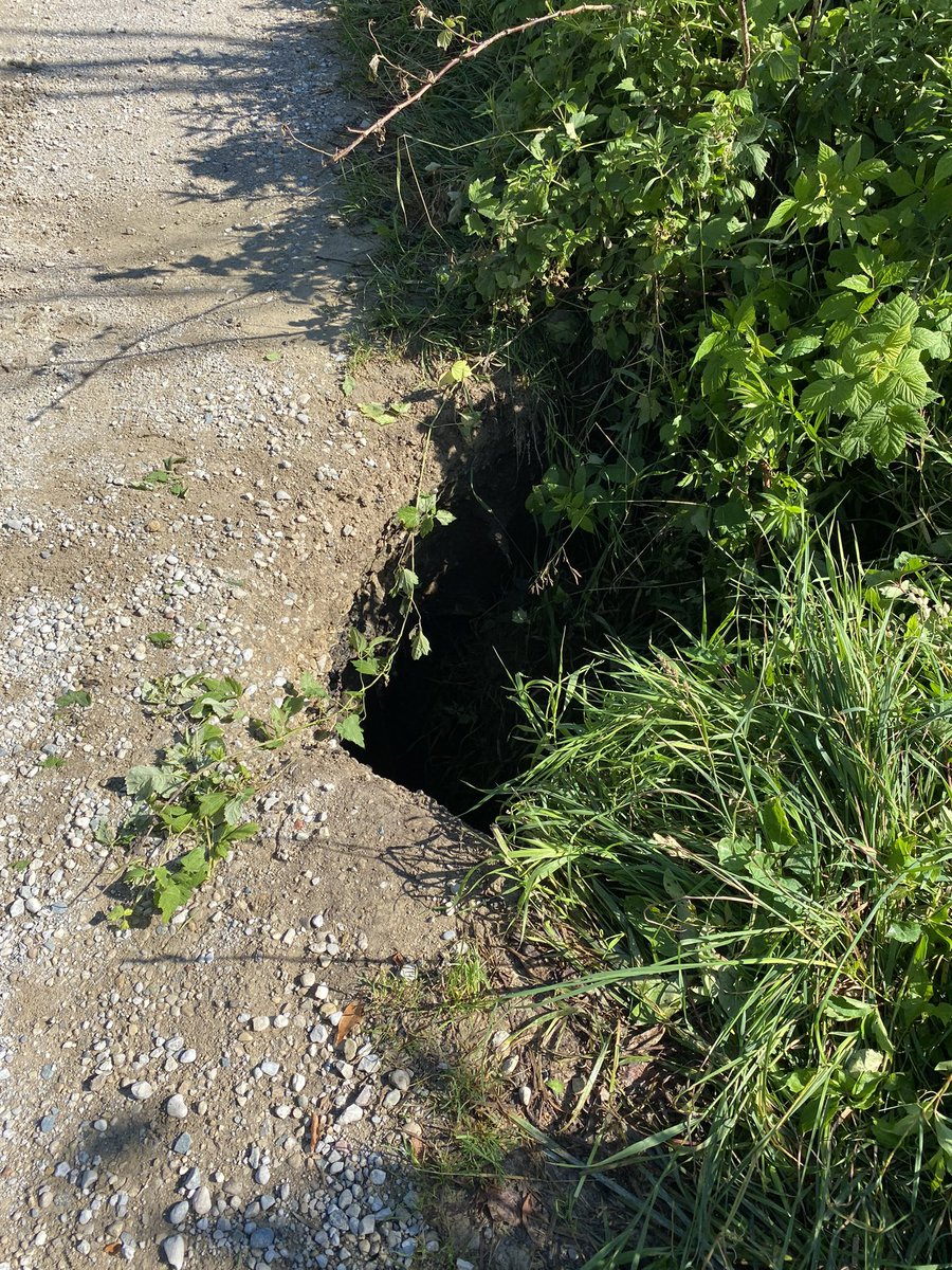 Adam Ireland tweet media