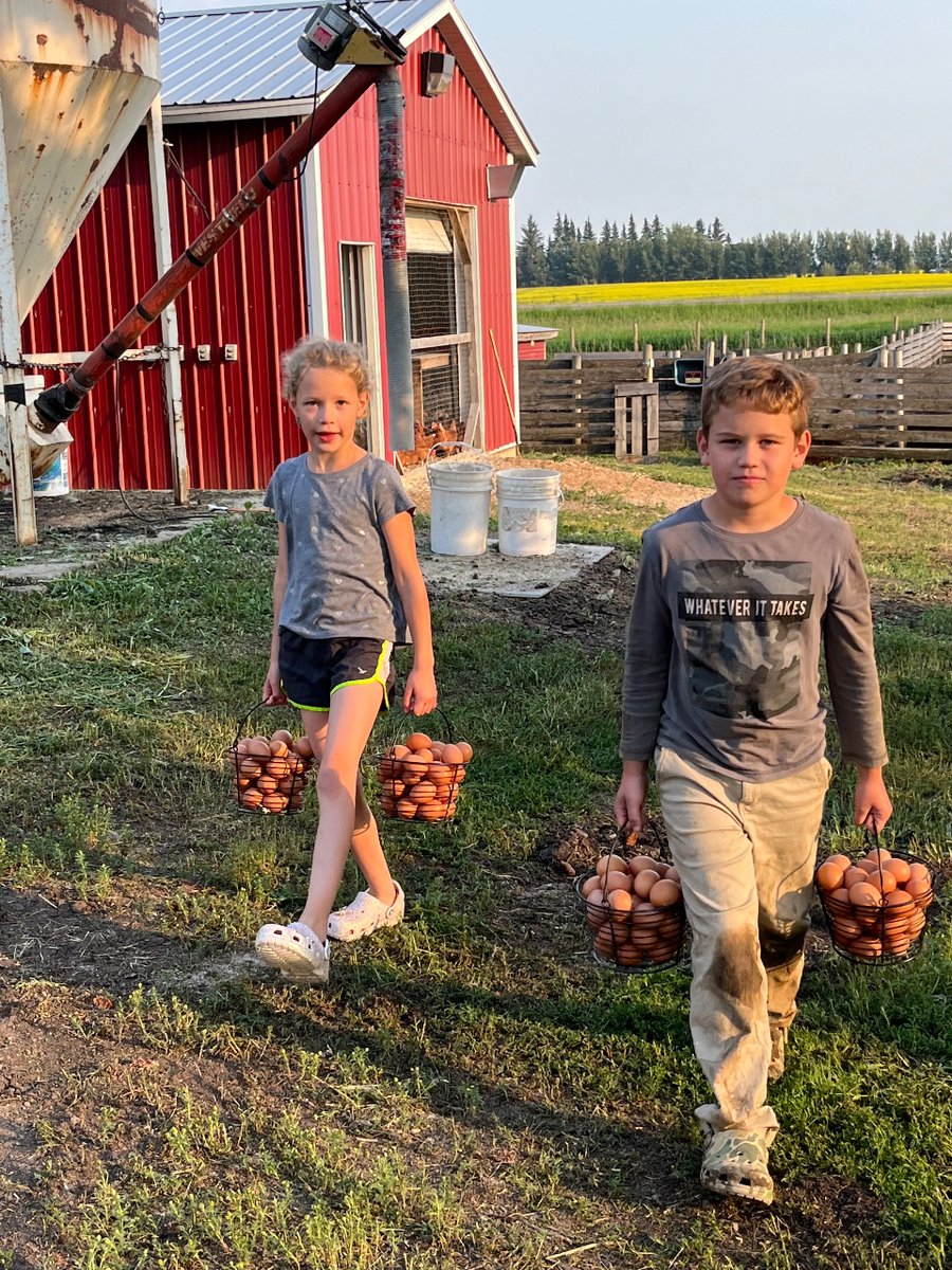 SerbenFarms's tweet image. You see sweet farm kids doing chores... I see a boy who wore his good pants all day and is about to learn the fine art of stain removal. 😆 #familyfarming #farmkids #laundryproblems