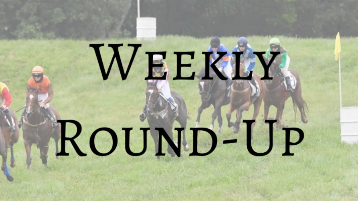 NSA (@jumpingwithnsa) on Twitter photo The Weekly Round-Up
TGSF's recap of news from the week: conta.cc/46GLtjt The Weekly Round-Up
TGSF's recap of news from the week: conta.cc/46GLtjt