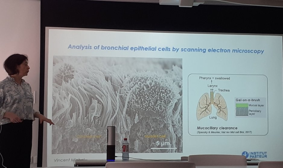 Fantastic talk by Lisa Chakrabarti @Team_Chakra from @institutpasteur on SARS-CoV-2 impact on primary airway epithelia (with stunning electron microscopy images 🤩) and super stimulating discussions today @IRIM_life! Merci pour la visite Lisa !