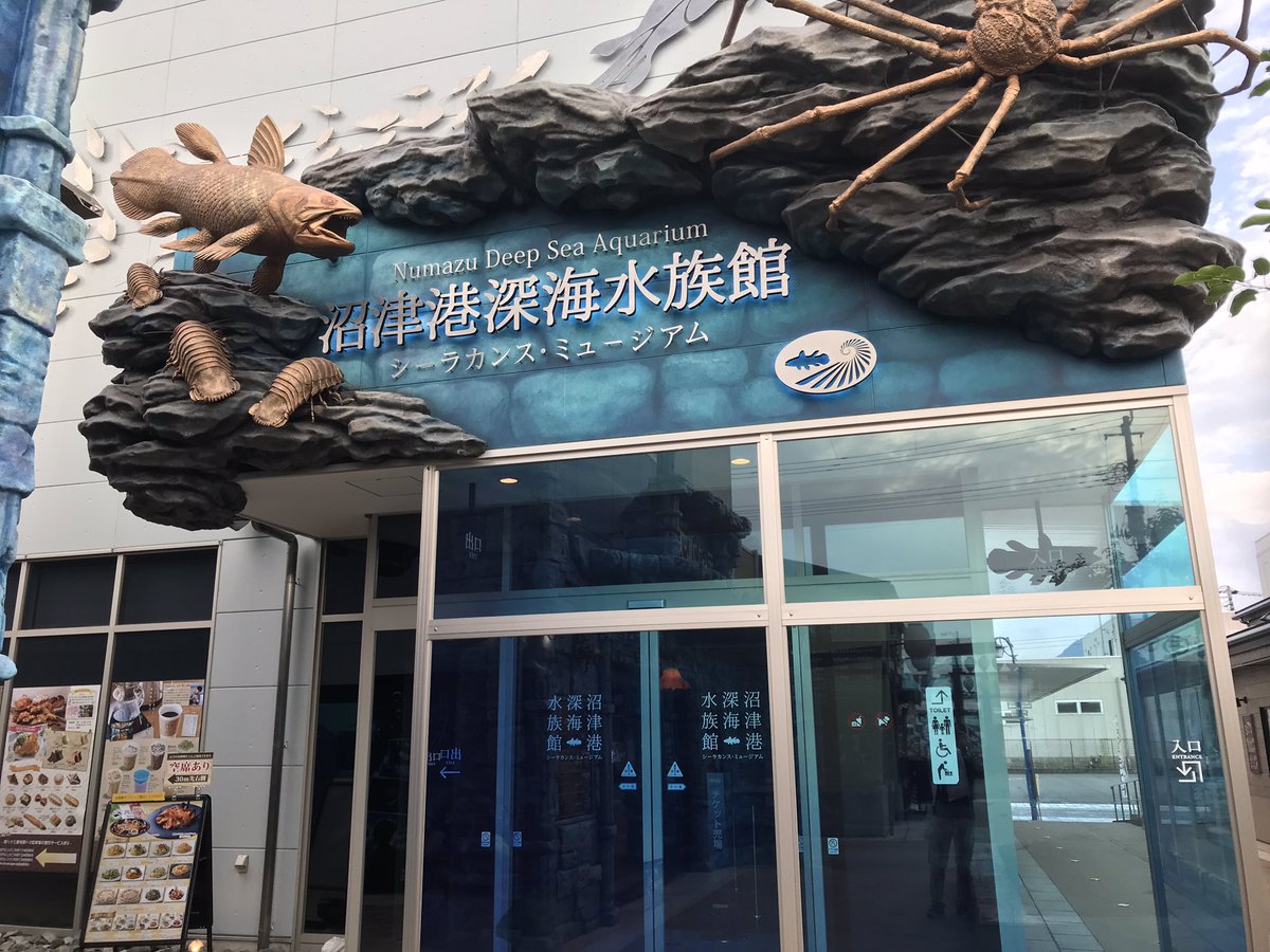 沼津港深海水族館行ってきたー。良かったです 