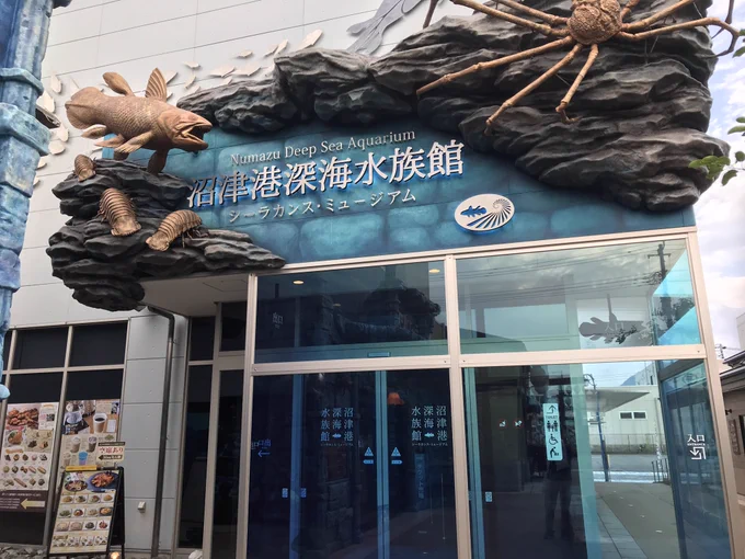 沼津港深海水族館行ってきたー。良かったです 
