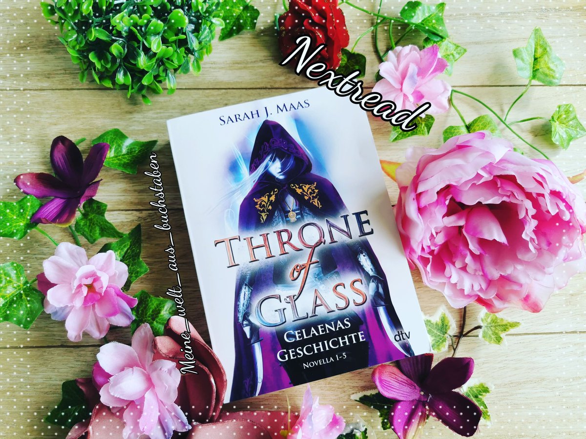 KommWir's tweet photo. (Text und Bild könnten zum Kauf anregen) #buchvorstellung
#nextread #currentlyreading #currently Printausgabe selbst gekauft
Ab heute wird mich das Buch #thronofglasscelaenasgeschichte von @therealsjmaas aus dem @dtv_verlag begleiten 💙
#sarahjmaas #dtv #dtvverlag #thronofglass https://t.co/HSeGQvAmfB