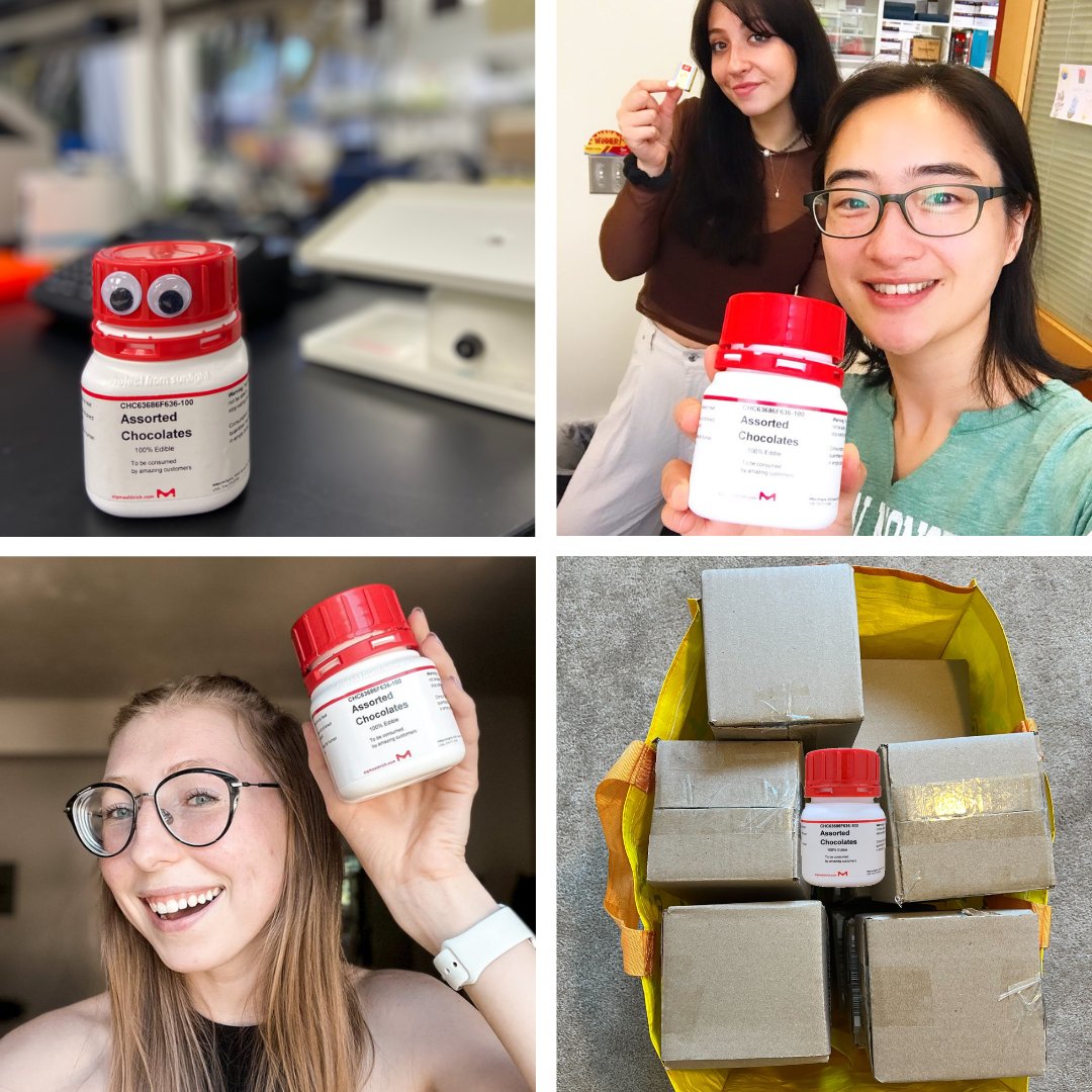 MilliporeSigma's tweet photo. GIVEAWAY 🍫 You've seen them. You loved them. We're giving them away in honor of #WorldChocolateDay. For the chance to win one of our famous Chocolate bottles, follow @MilliporeSigma &amp; tag #LabChocolateContest! US only, T&amp;C: https://t.co/N8KxmvorHD
📷 Anaa Andriyash, Daisy Shu https://t.co/pDrZF2Vhvh