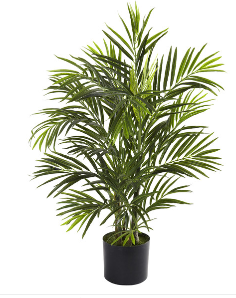 RHomeAmenities's tweet photo. Artificial plants are so easy to take care of –  They stay vivid and bright year round, offering a beautiful display and fantastic value for money with an occasional wipe down

#plantdecor #plantsofinstagram #plantsmakepeoplehappy #plants #indoorplants #houseplants #plantlover https://t.co/hZm9yLO5gh