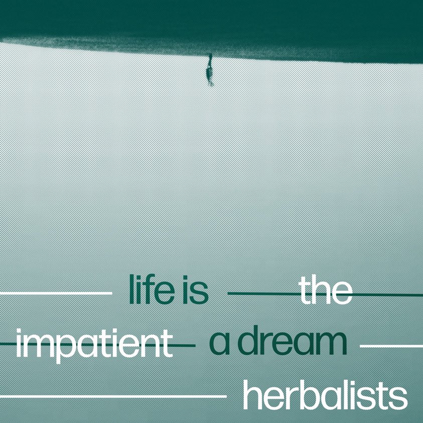 official_TIH_'s tweet photo. 🚨 COVER REVEAL for Life is a Dream by The Impatient Herbalists!

#synthpop #s #music #newwave #synthwave #electronicmusic #smusic #synth #pop #darkwave #electropop #synthesizer #postpunk #electronic #vinyl #retrowave #electro #newmusic #indie #disco #indiepop #popmusic #techno https://t.co/oWr956F62E