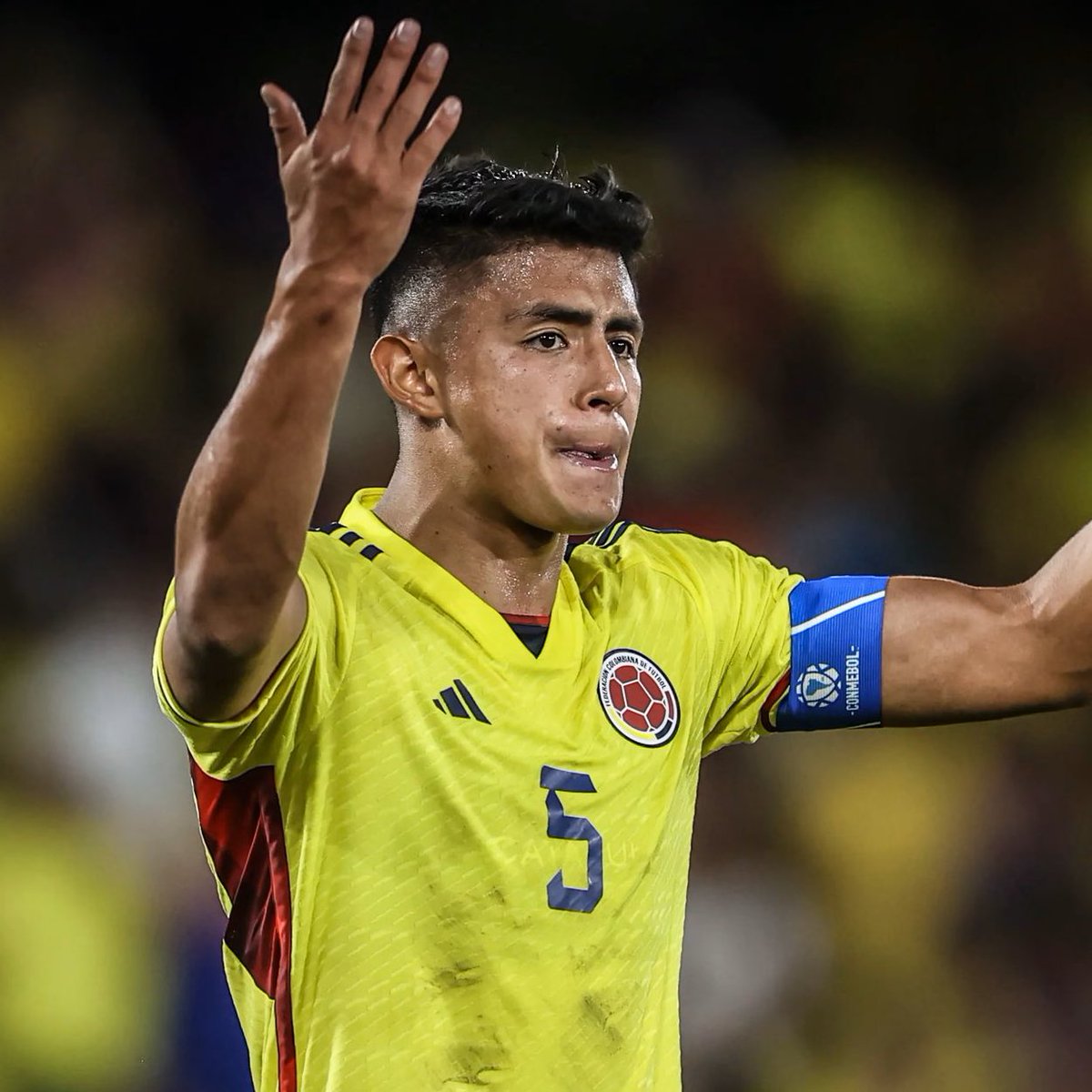 🔎🇨🇴 El scouting de #Talleres did it again. Kevin Mantilla tuvo un buen #U20WC, pero lo mejor estuvo en el Sudamericano.

Derecho. Agresivo en duelos aéreos (1.85m). Excelente sentido de la ubicación. Constante búsqueda de duelos en suelo e intercepciones para ganar posesión.