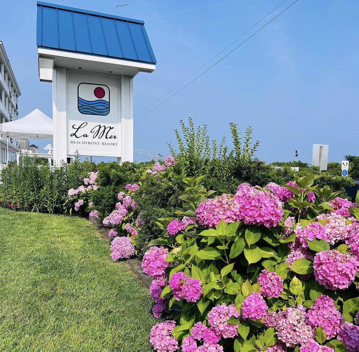 See what our guests are saying! "La Mer Beachfront Resort is a well maintained property. Good choice &amp; their housekeeping does a great job, very clean. Location is a quieter area but right across from beach. Really recommend this hotel- you won’t be disappointed!"-Trip Advisor.