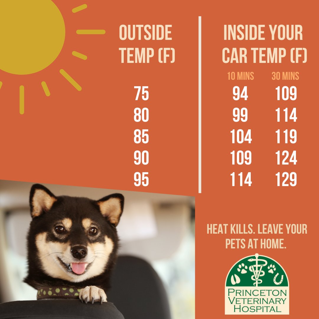 Princeton Veterinary Hospital tweet media