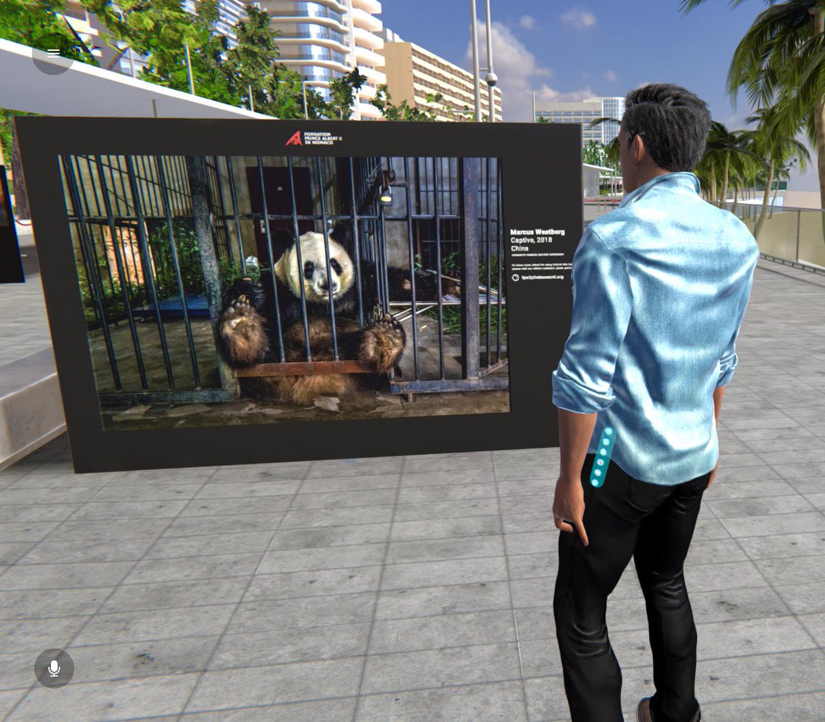 The discovery continues! 
The environmental photography award is still available in the Monaco Metaverse🇲🇨

#monaco #metaverse #explore #award #nft #photography #environmental