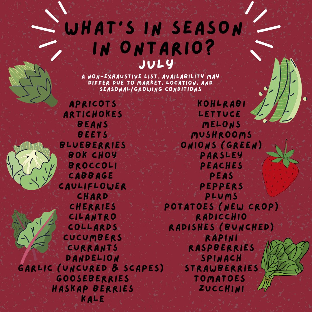 pfenningsfarm's tweet image. Summer’s here, &amp;amp; fresh #OntarioProduce is coming into its own! For this month’s #FindLocalFriday there’s plenty to keep tables groaning &amp;amp; bellies full. On our farm, the leafy greens are spectacular! Isn’t this spinach beautiful? #LoveOntFood #LoveLocal #GoodThingsGrowInOntario