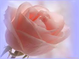 InesMChapman's tweet photo. 🌹Patria querida,cuna y amor,de la tierra los frutos y el trabajo, para seguir creciendo #CubaVive 💖
"Ahora se necesitan más que nunca templos de amor y humanidad que desaten todo lo que hay en el hombre de generoso y sujeten todo lo que hay en él, de crudo y vil" #JoséMartí https://t.co/f11mQUZWM7