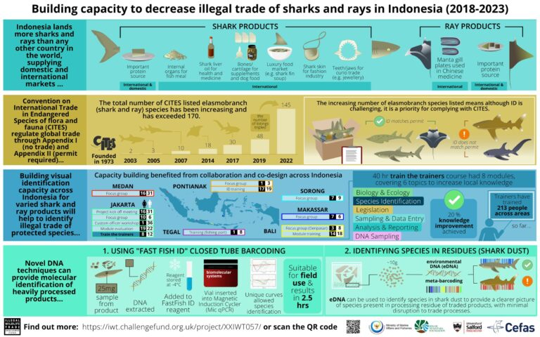 Andhika Prasetyo (@dhika_fishery) on Twitter photo The project and PhD allow me to serve my country, 🇮🇩 and strengthen global collaboration with 🇬🇧. Studying Genetics has taught me that genetic applications are only limited by our imagination! This great infographic recapped 3 years' achievements.
Thx <a href="/UKBCFs/">Biodiversity Challenge Funds</a> for the opportunity. The project and PhD allow me to serve my country, 🇮🇩 and strengthen global collaboration with 🇬🇧. Studying Genetics has taught me that genetic applications are only limited by our imagination! This great infographic recapped 3 years' achievements.
Thx <a href="/UKBCFs/">Biodiversity Challenge Funds</a> for the opportunity.