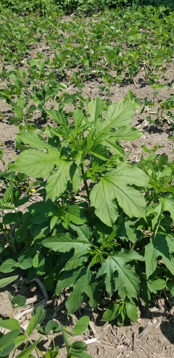 Bryan Cook tweet media