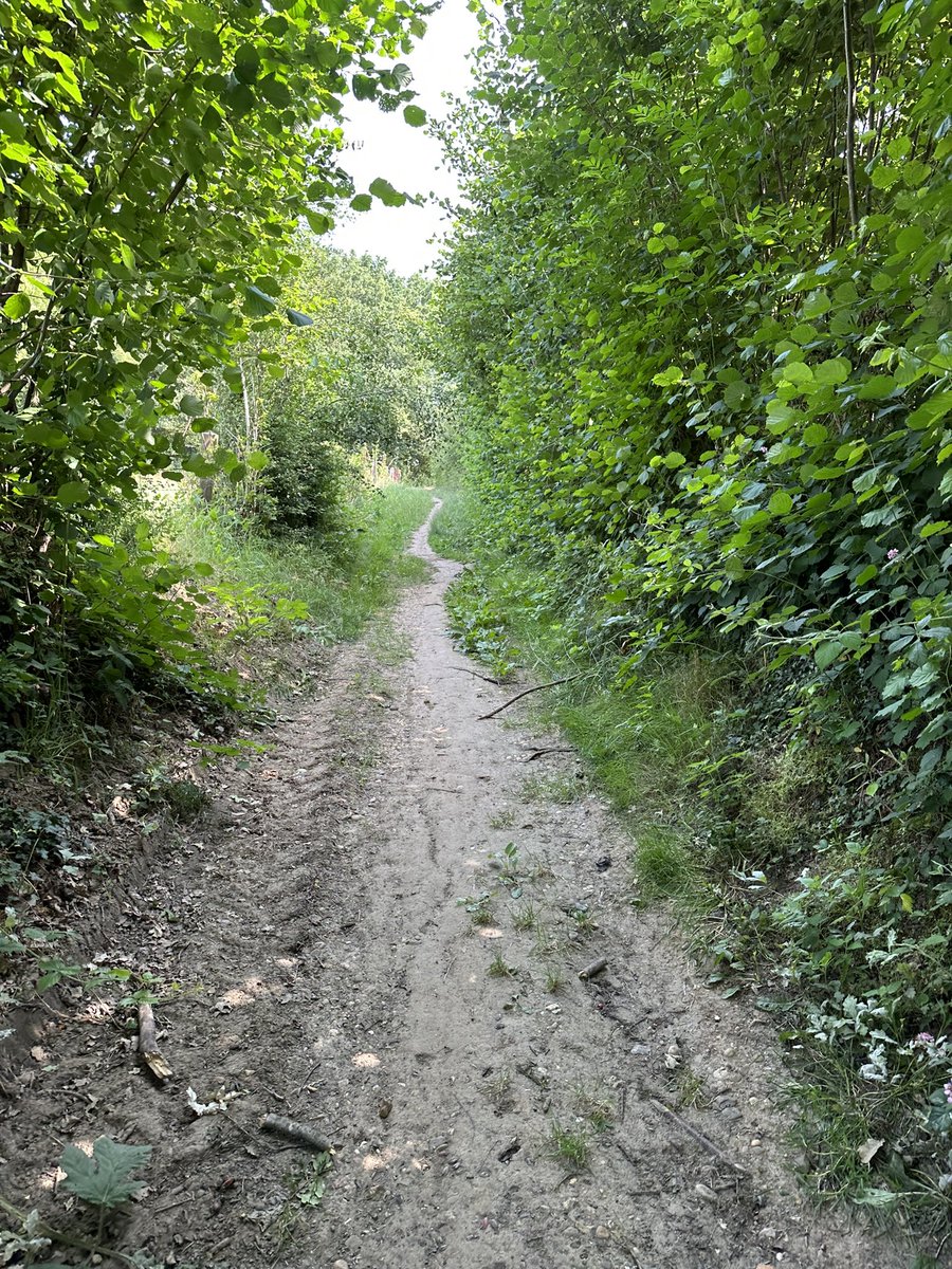 fraja1957's tweet image. Mooie avontuur ( #geocache)  #zuidlimburg  Dubbel genieten #wandeling