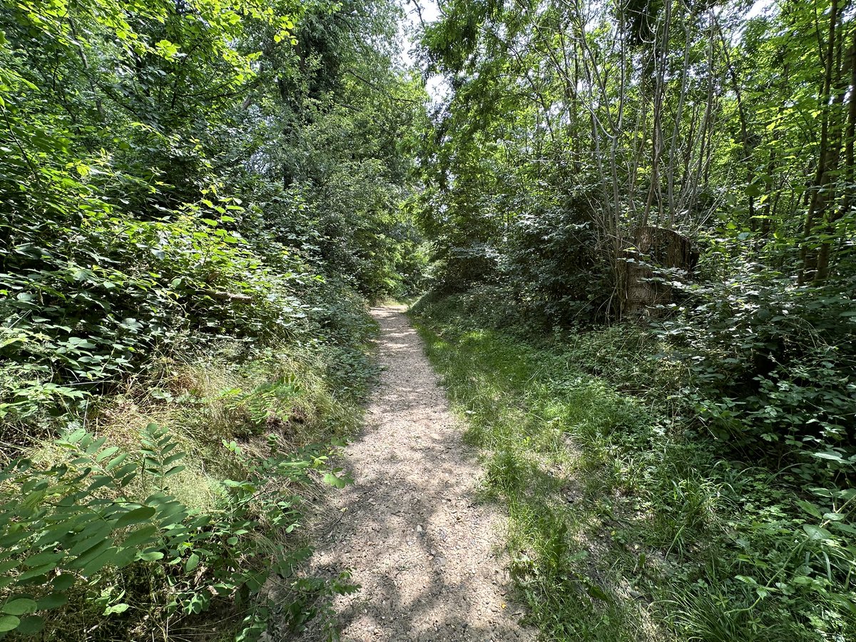 fraja1957's tweet image. Mooie avontuur ( #geocache)  #zuidlimburg  Dubbel genieten #wandeling