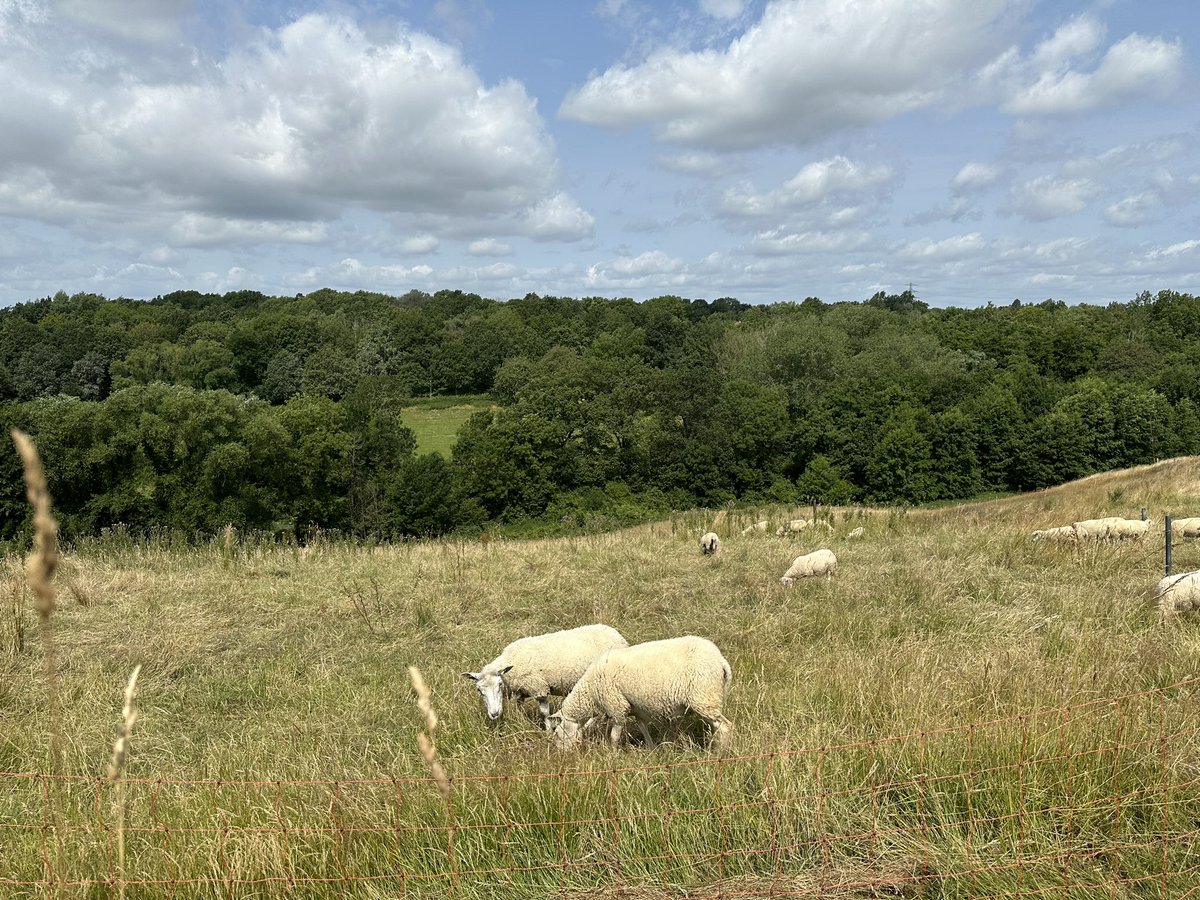 fraja1957's tweet image. Mooie avontuur ( #geocache)  #zuidlimburg  Dubbel genieten #wandeling