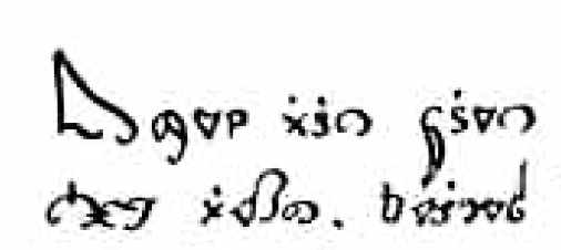Easily the hardest quiz I've ever posted. No, this is not from the Voynich Manuscript, but what *is* it? Clue: it may be the world's most endangered script.