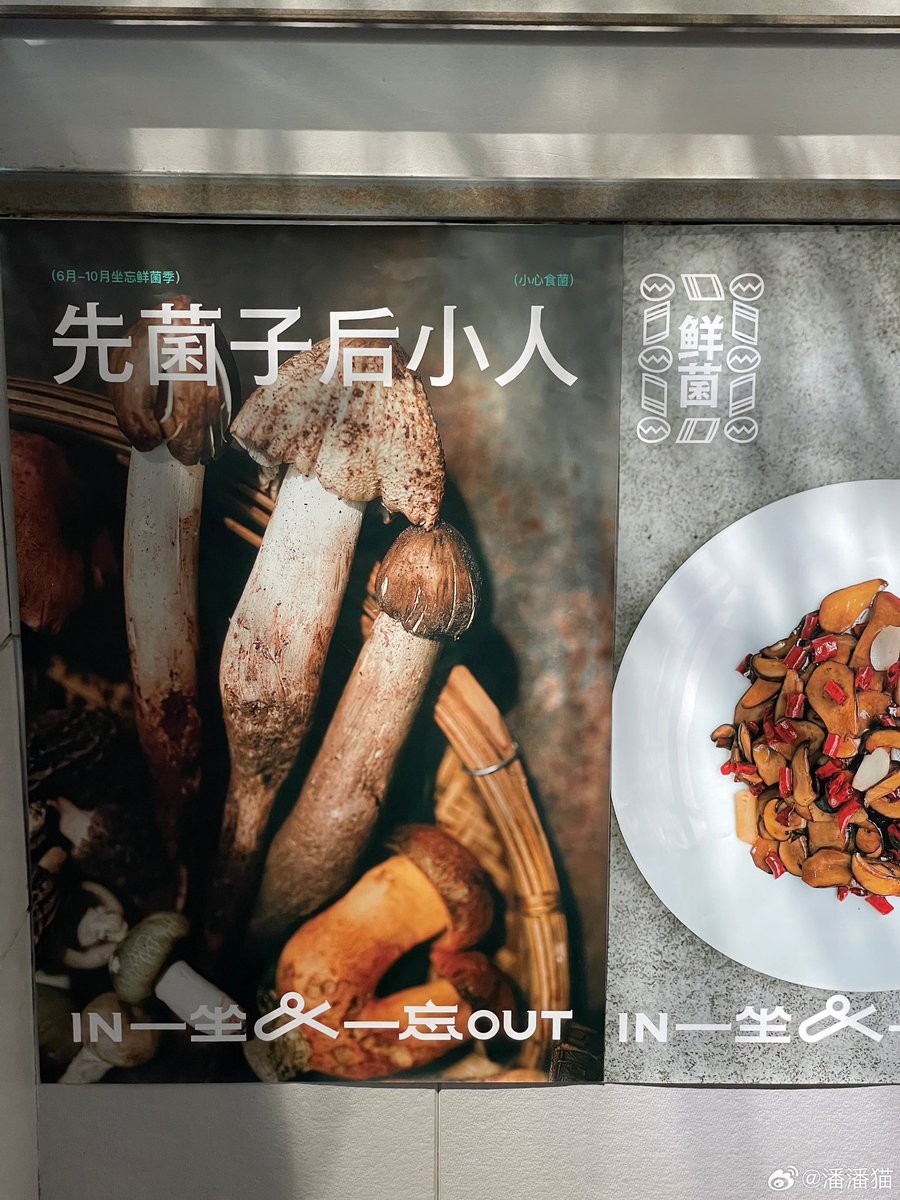 So glad that visiting <a href="/USTreasury/">Treasury Department</a> Secretary <a href="/SecYellen/">Secretary Janet Yellen (Archived)</a> likes our Yunnan delicacy, in particular Jianshouqing #见手青 a poisonous mushroom famous for its texture and flavour. If cooked well, it’s not only a divine but also healthy to our body with all kinds of nutrients. 😋😋😋