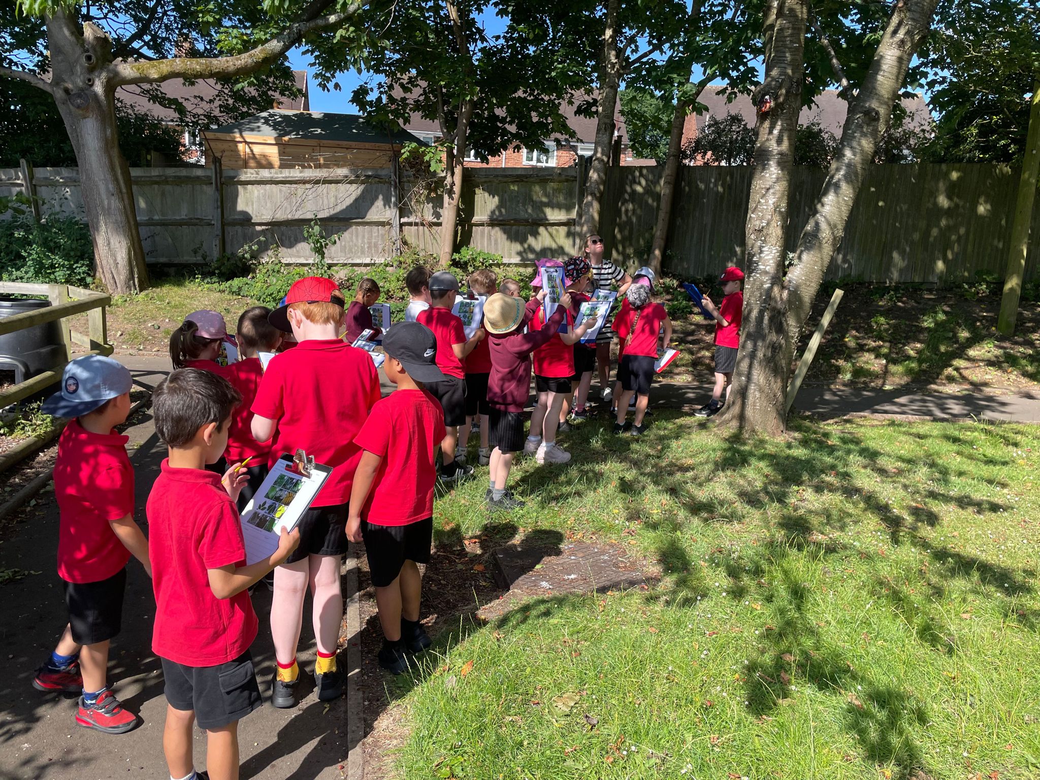 Woodgate Primary on Twitter "Year 1 have been learning about Evergreen and Deciduous trees