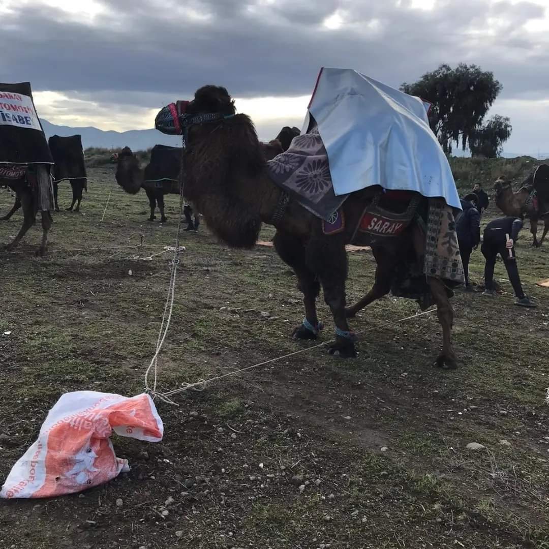 Yokmu burda hiç talep etmeyen gerçek güvenilir insanlar