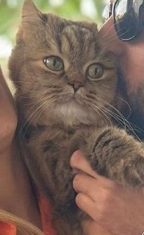 bulgurito's tweet photo. Hişte güsl diyil a https://t.co/O5rqh7ZxVf