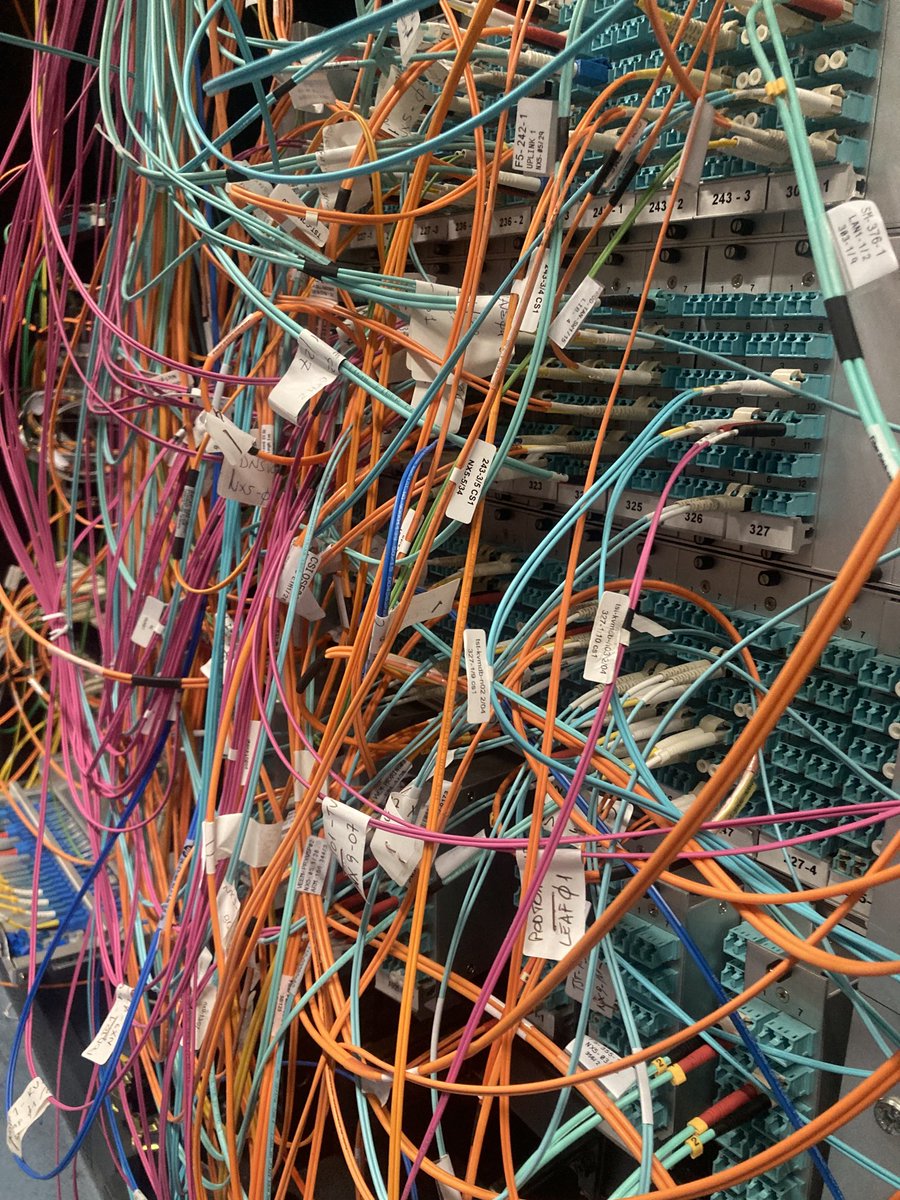 Pollock Informatico