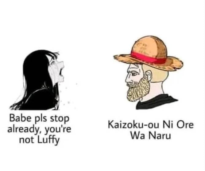 One Piece Memes tweet media