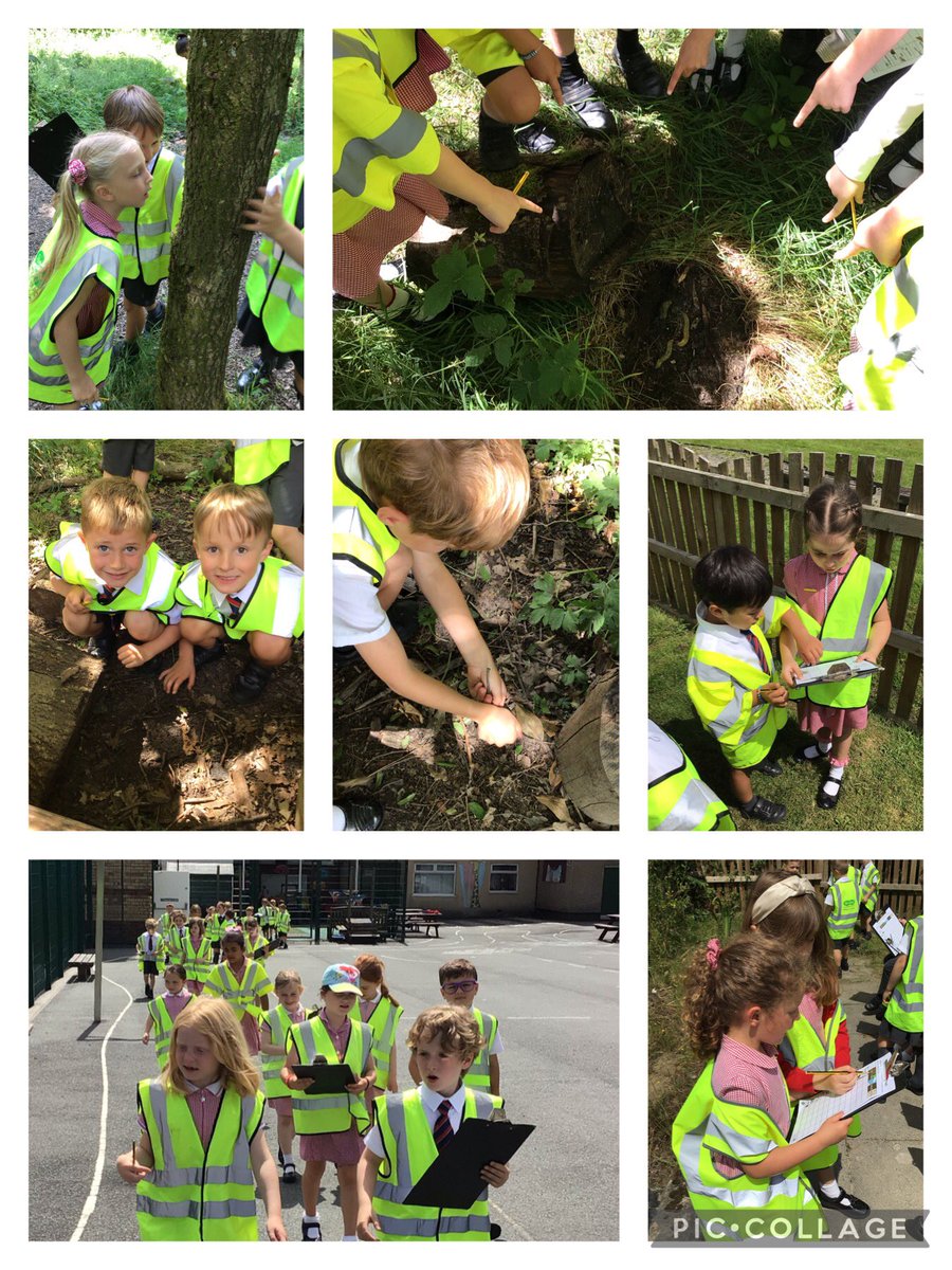 MissMawdsley's tweet image. As part of National Fieldwork Fortnight we explored different habitats and micro-habitats in our environment. We went on a minibeast hunt and recorded the different creatures we could find.  @mrswill_hick 🐞🪲🐛🐝🦋🐜🪳🕷 #geography #science #nationalfieldworkweek