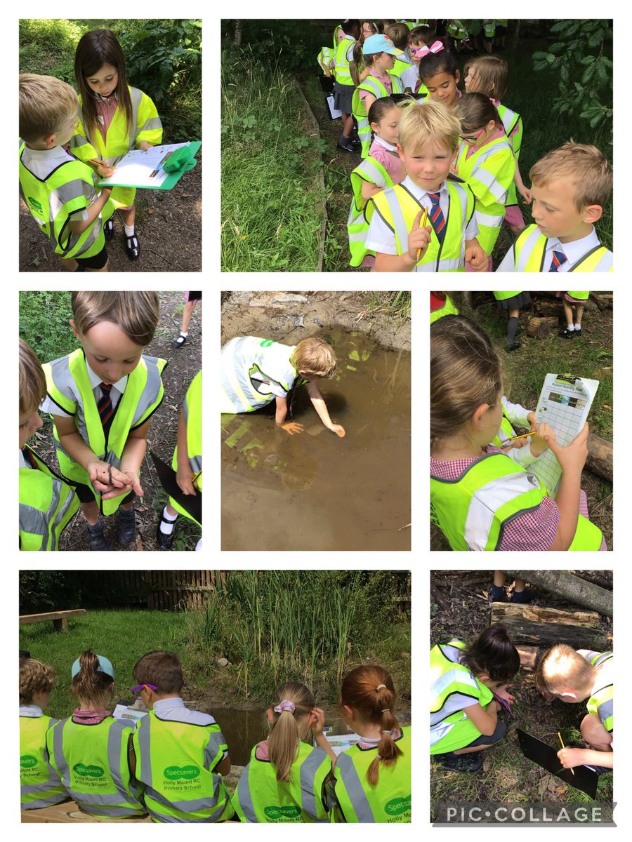 MissMawdsley's tweet image. As part of National Fieldwork Fortnight we explored different habitats and micro-habitats in our environment. We went on a minibeast hunt and recorded the different creatures we could find.  @mrswill_hick 🐞🪲🐛🐝🦋🐜🪳🕷 #geography #science #nationalfieldworkweek