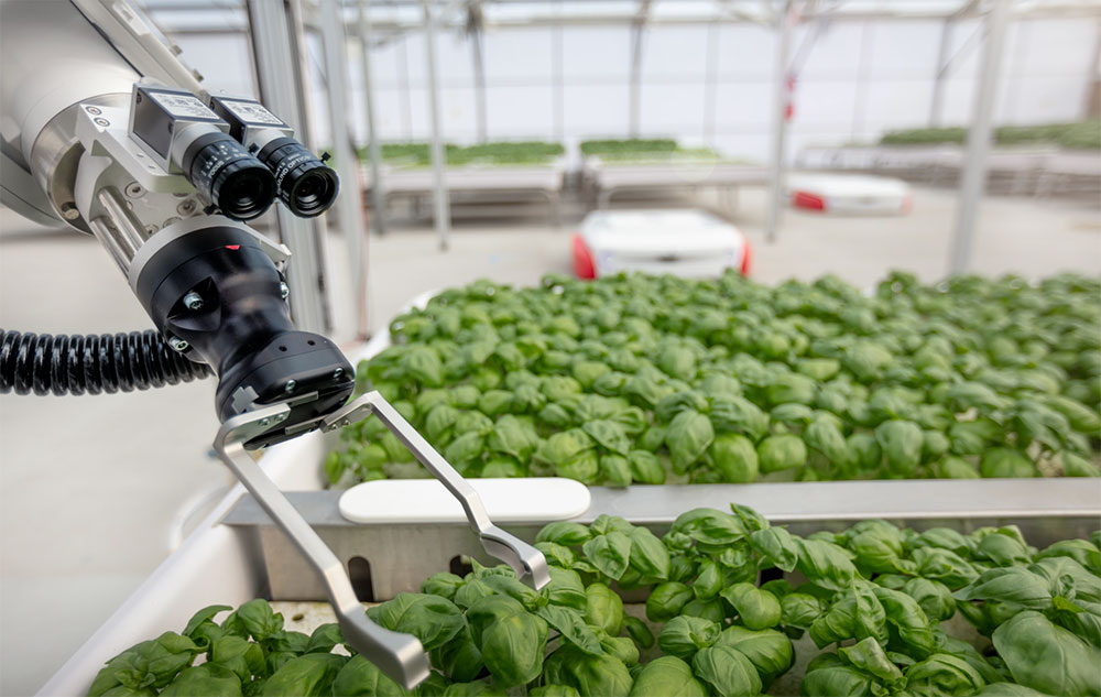 sectablog's tweet image. Plant Propagation Using Robotics and AI | The Revolutionary Approach by Iron Ox 
#IronOx #RoboticsInAgriculture   #agriculture #farming #ai #technology  #growth #data #artificialintelligence #future #tech #environment #sustainable #food #robotics
youtu.be/5kVoJ0bg8kk
