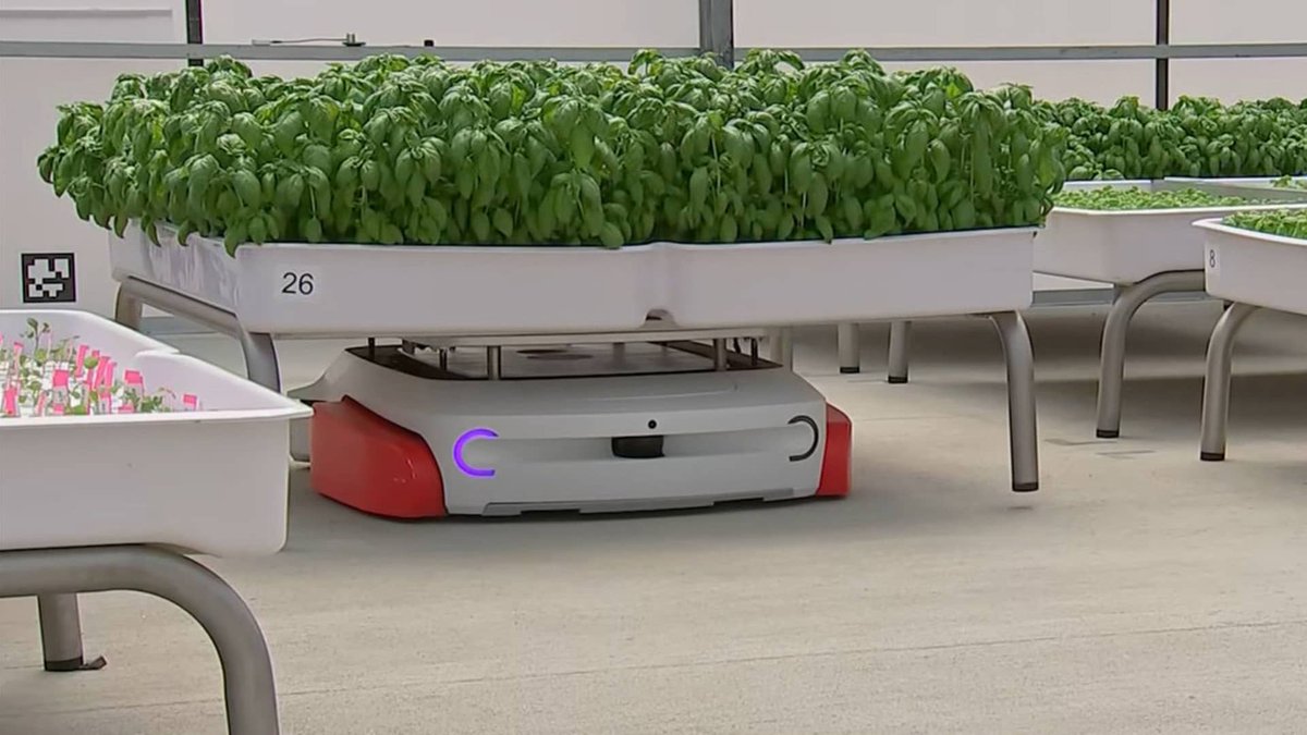 sectablog's tweet image. Plant Propagation Using Robotics and AI | The Revolutionary Approach by Iron Ox 
#IronOx #RoboticsInAgriculture   #agriculture #farming #ai #technology  #growth #data #artificialintelligence #future #tech #environment #sustainable #food #robotics
youtu.be/5kVoJ0bg8kk