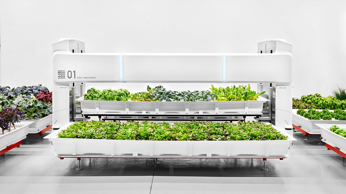 sectablog's tweet image. Plant Propagation Using Robotics and AI | The Revolutionary Approach by Iron Ox 
#IronOx #RoboticsInAgriculture   #agriculture #farming #ai #technology  #growth #data #artificialintelligence #future #tech #environment #sustainable #food #robotics
youtu.be/5kVoJ0bg8kk