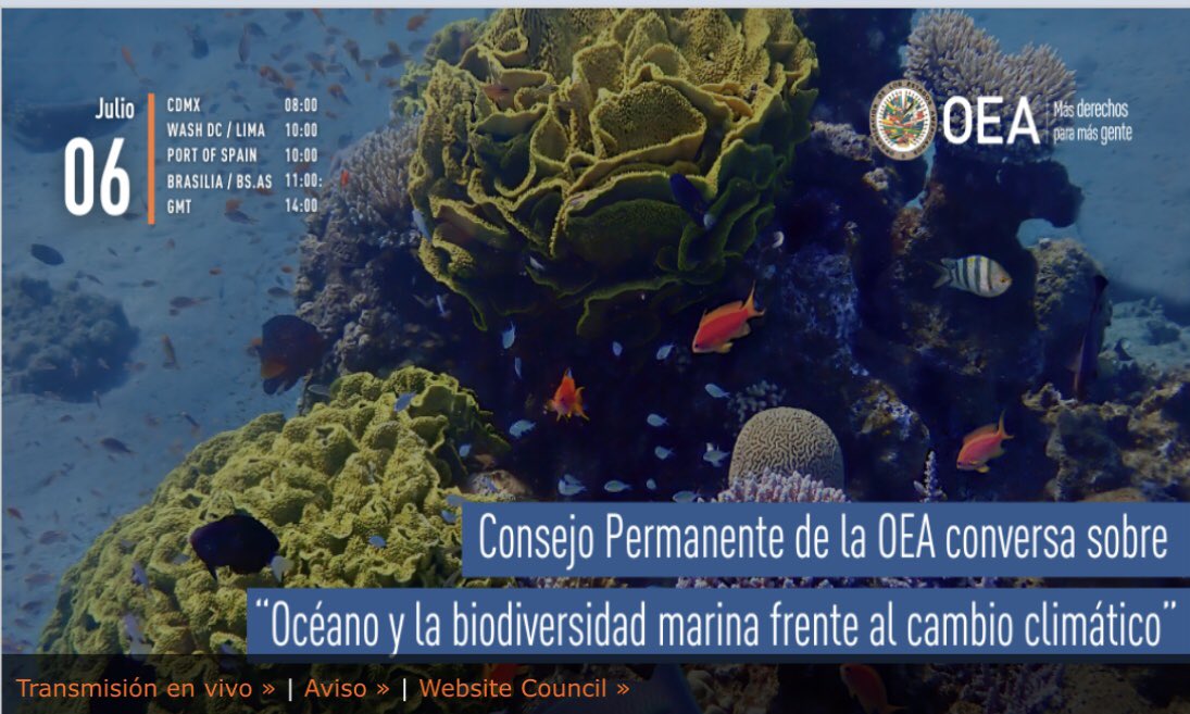 deWindt_IIJS's tweet photo. Hay que construir coaliciones. #iabnf2023 El sector privado, juega un papel central en cerrar la brecha financiera para detener la perdida de la #biodiversidad en los #océanos, y la innovación en manejo de riesgos de naturaleza y #sciencebasedsolutions https://t.co/8fKaIWbcu1