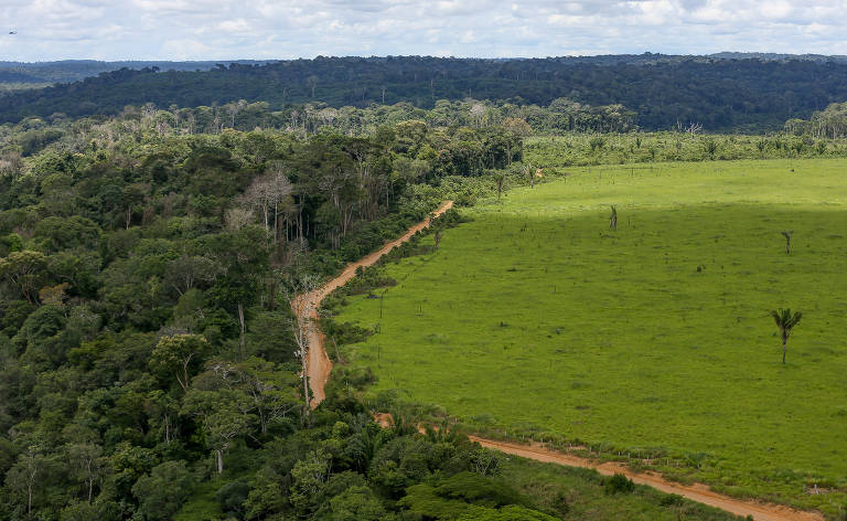 UOLNoticias's tweet photo. Desmatamento na Amazônia cai 33,6% no 1º semestre de 2023 

📉 Segundo dados do Inpe, o mês de junho atingiu o menor nível de devastação desde 2018 —a redução foi de 41% https://t.co/5OMnuUyRAo