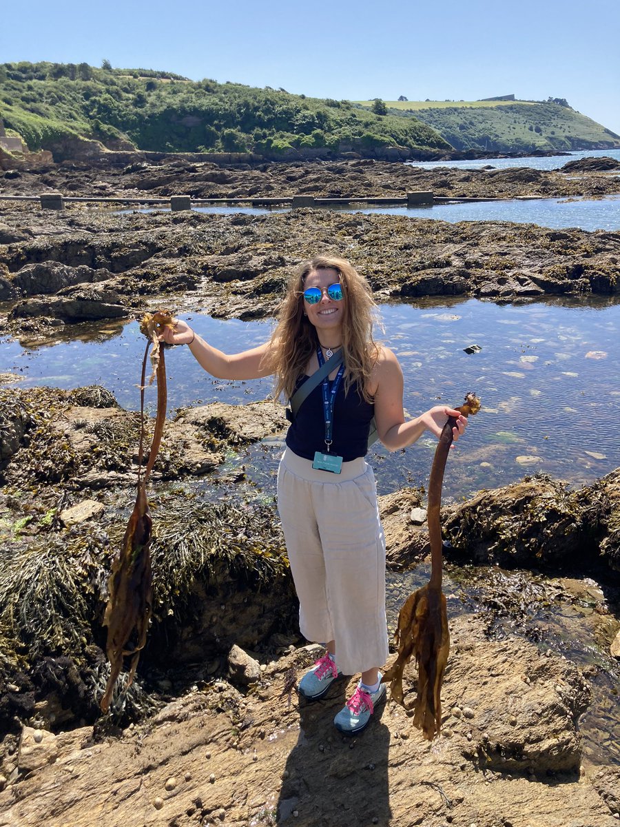 Finishing up our 2023 @CDT_SuMMeR School with a coastal walk, rockpooling and some #Saccorhizapolyschides for #phycologyfriday of course!