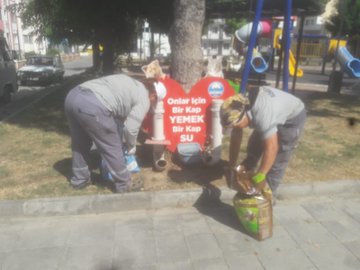 Sokak hayvanları için mamalıklar