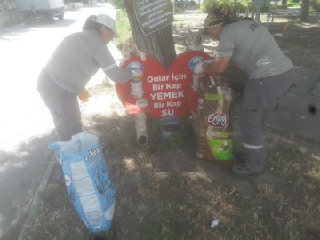 Söke Belediyesi logosu