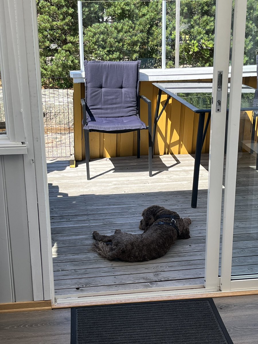 Tone S. Hansson tweet media